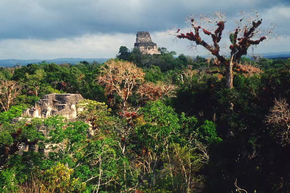 微信图片_20251110092119_338_63